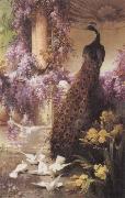 Eugene Bidau A Peacock and Doves in a Garden oil painting picture wholesale